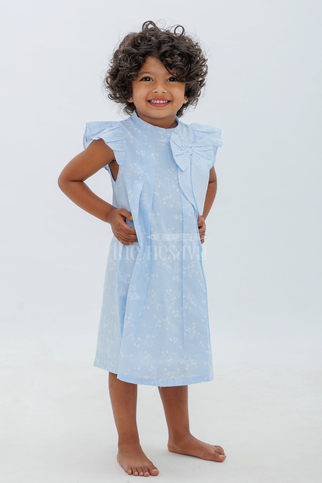 Blue Cotton Frock with White Motif and Ruffle Sleeves