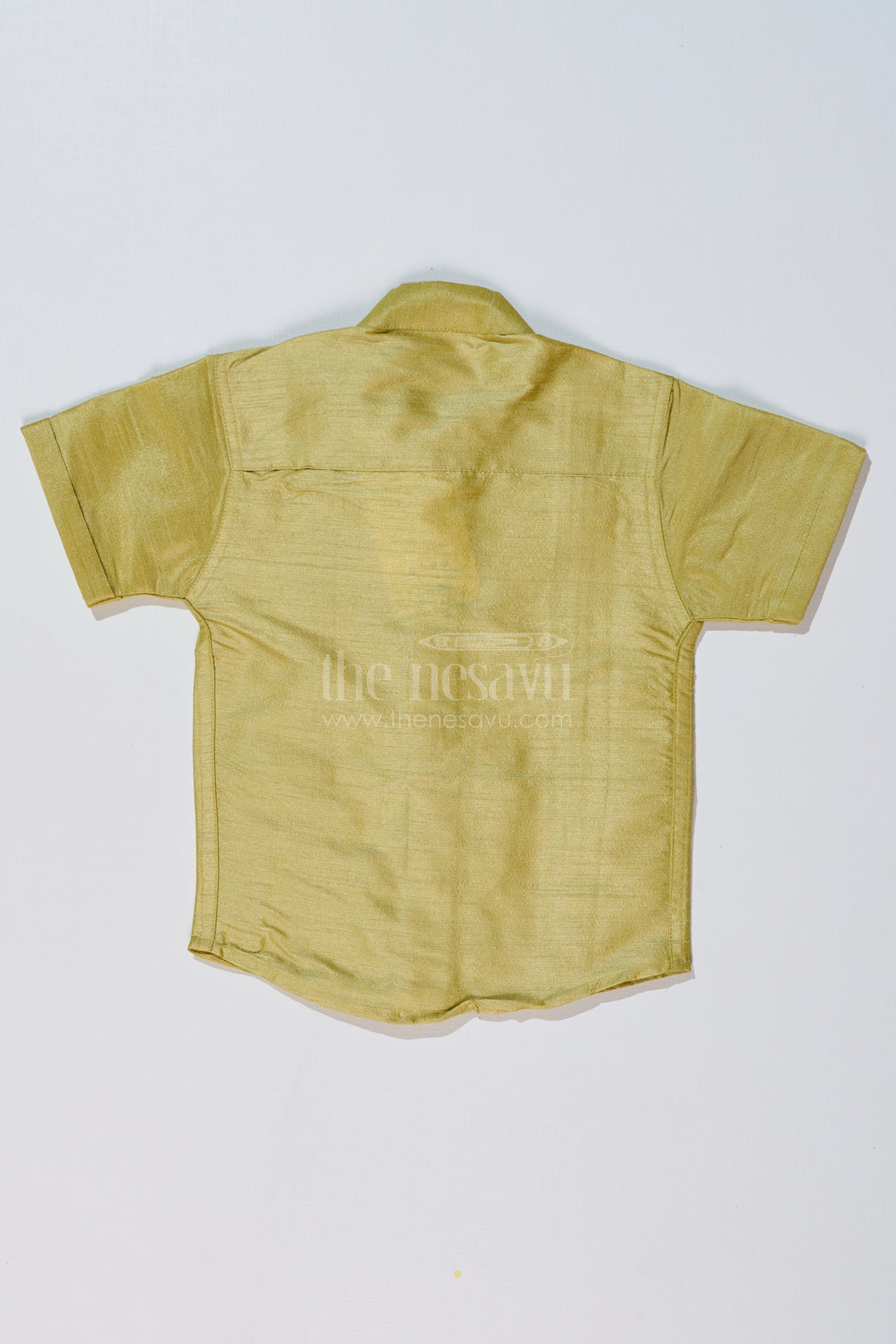 Boys Green Silk Shirt with Half Sleeves and Embroidered Detailing for Ethnic and Festive Wear