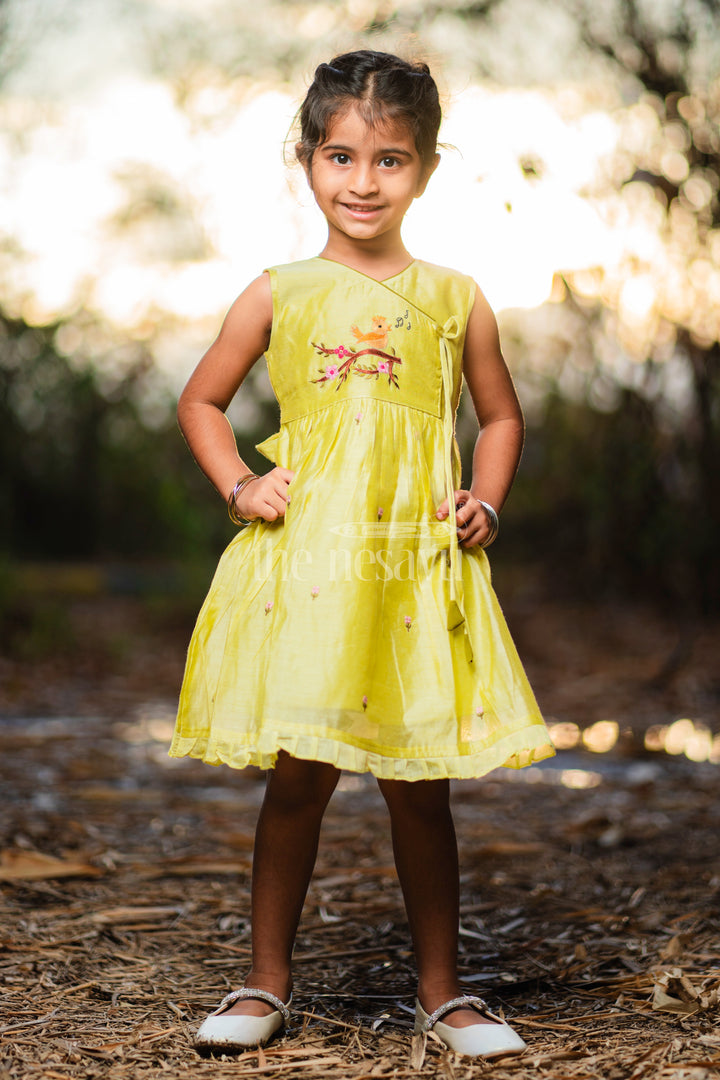 Baby Cotton Frock in Green with Bird Embroidery and Floral Detailing for Girls