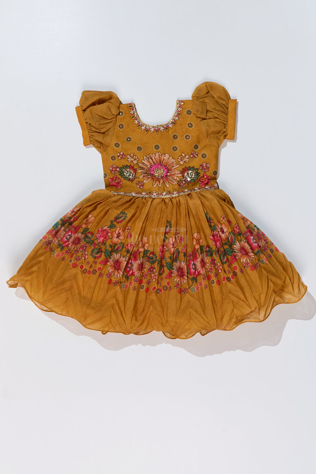 Girls Aesthetic Birthday Dress with Floral Embroidery and Pleated Flared Skirt for a Festive Look